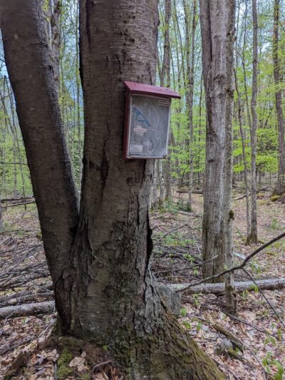 Lovejoy Hiking Trails - Loudon, NH