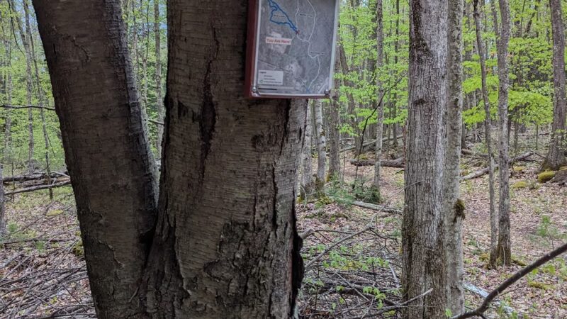 Lovejoy Hiking Trails - Loudon, NH
