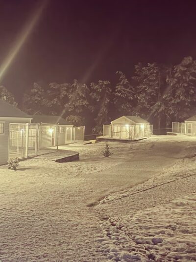 The Cottages - Louisa, VA
