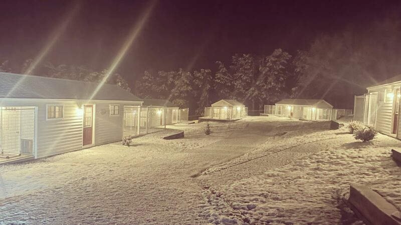 The Cottages - Louisa, VA