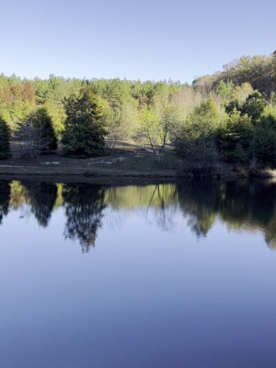 Louisburg College's de Hart Botanical Gardens - Louisburg, NC
