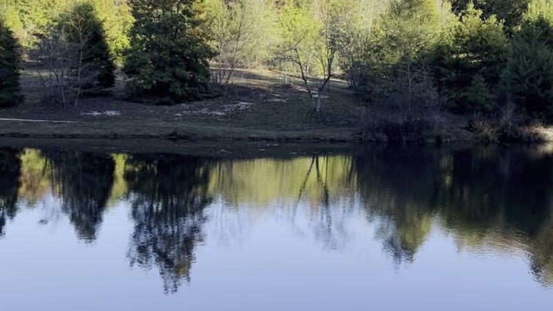 Louisburg College's de Hart Botanical Gardens - Louisburg, NC