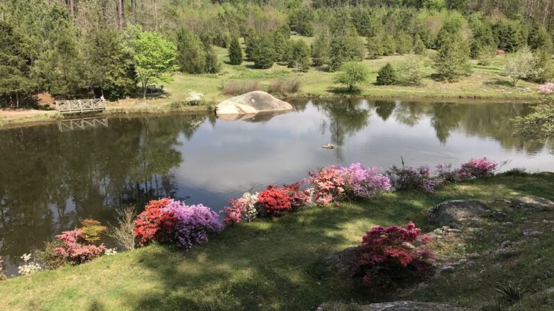 Louisburg College's de Hart Botanical Gardens - Louisburg, NC