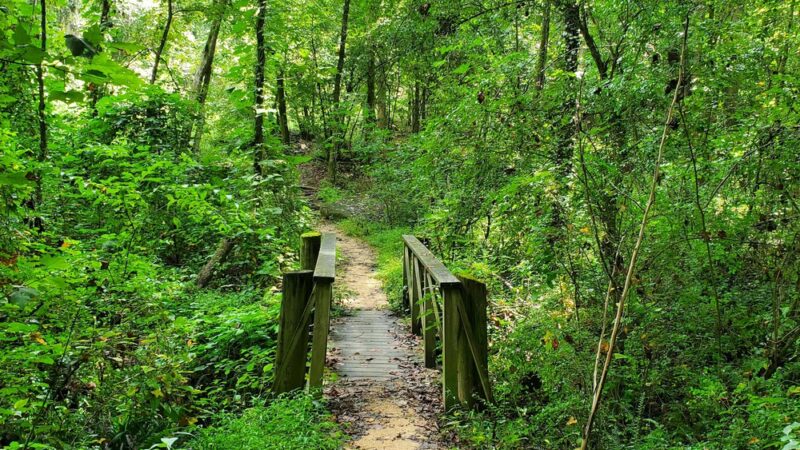 Louisburg College's de Hart Botanical Gardens - Louisburg, NC