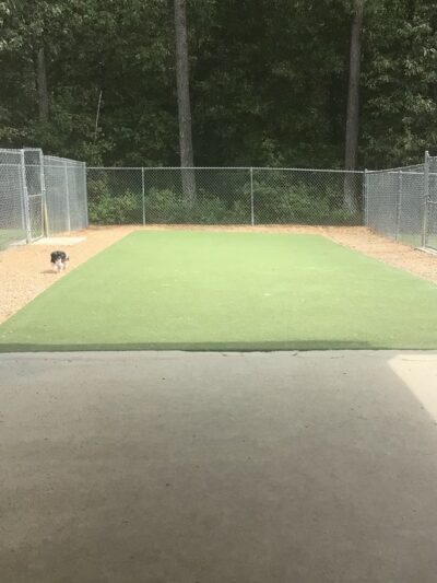 Fox Creek Animal Lodge - Louisburg, NC