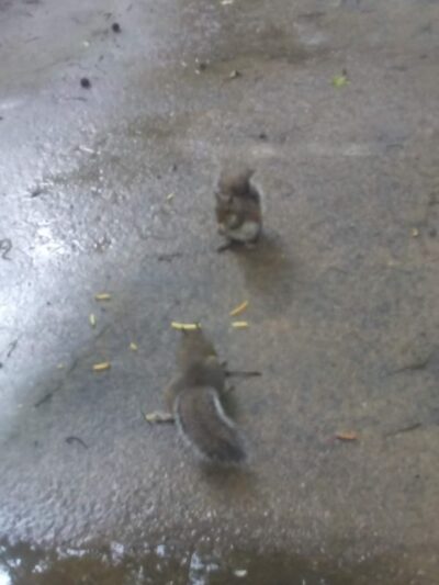 Franklin County Parks & Rec - Louisburg, NC