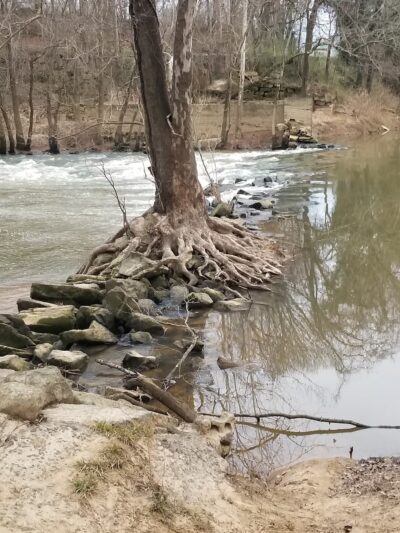 Franklin County Parks & Rec - Louisburg, NC