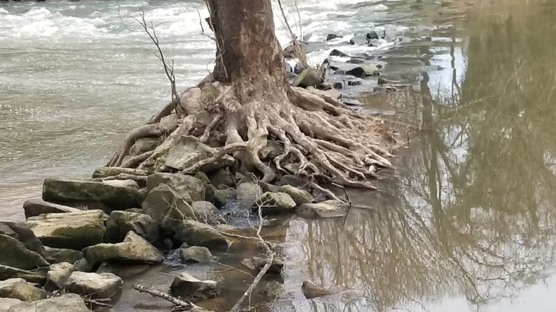 Franklin County Parks & Rec - Louisburg, NC