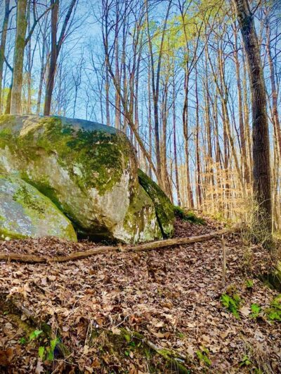 Joyner Park - Louisburg, NC