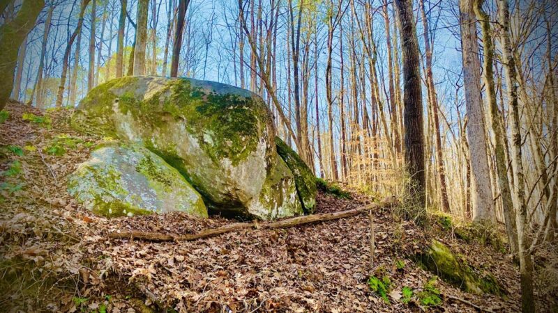 Joyner Park - Louisburg, NC
