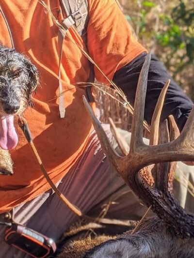 Low To Ground Kennels LLC - Louisburg, NC
