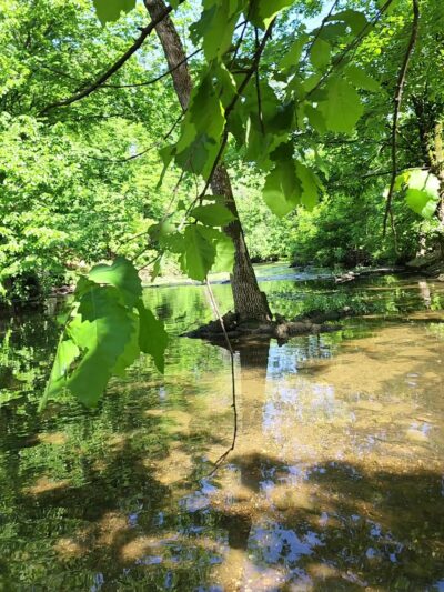 Cherokee Park - Big Rock - Louisville, KY