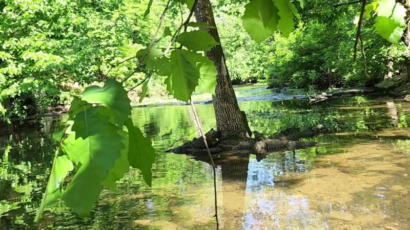 Cherokee Park - Big Rock - Louisville, KY
