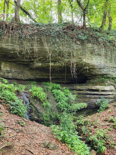 Cherokee Park - Big Rock - Louisville, KY