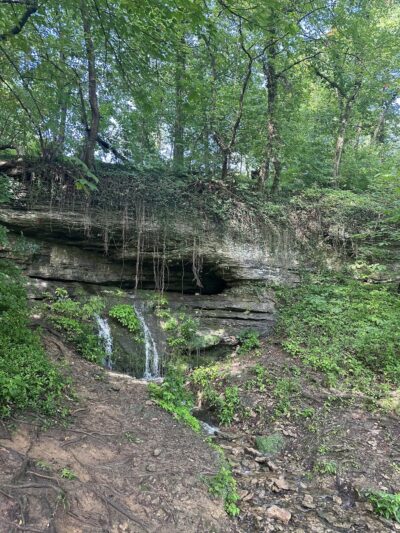Cherokee Park - Big Rock - Louisville, KY