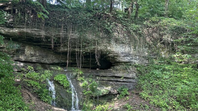 Cherokee Park - Big Rock - Louisville, KY