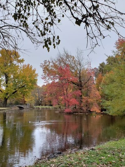 Chickasaw Park - Louisville, KY