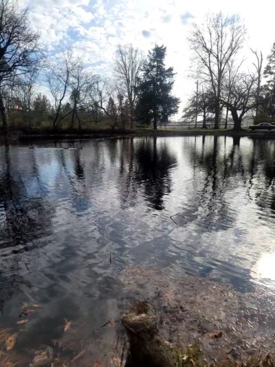 Chickasaw Park - Louisville, KY