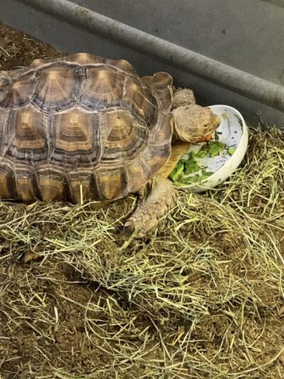 Fairleigh Pet Center - Louisville, KY