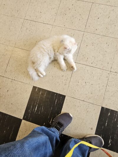 Fairleigh Pet Center - Louisville, KY