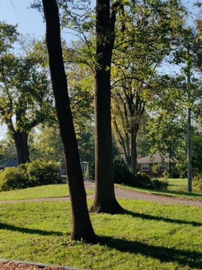 Farnsley Park - Louisville, KY
