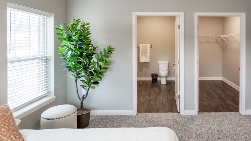 Finish Line Apartments - Louisville, KY
