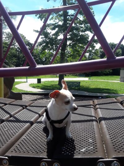 Huston Quin Park - Louisville, KY