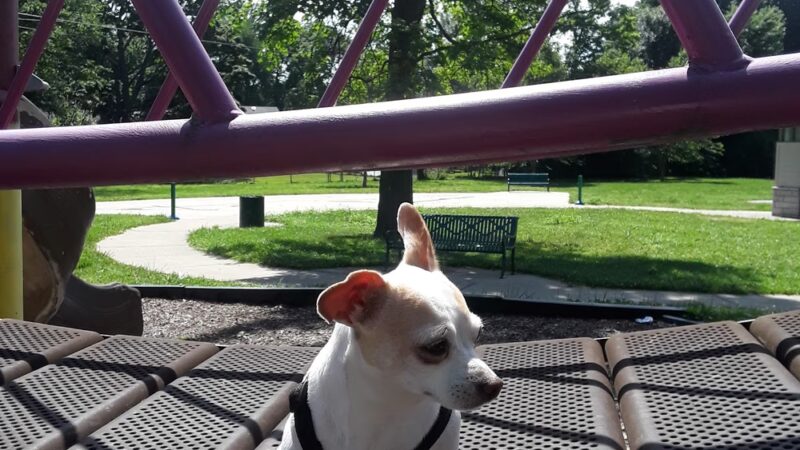 Huston Quin Park - Louisville, KY
