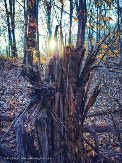 iroquois park - Louisville, KY