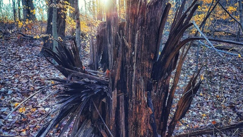 iroquois park - Louisville, KY