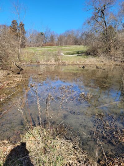 McNeely Lake Park South, West Entrance - Louisville, KY
