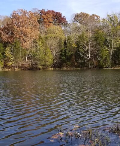 McNeely Lake Park South, West Entrance - Louisville, KY