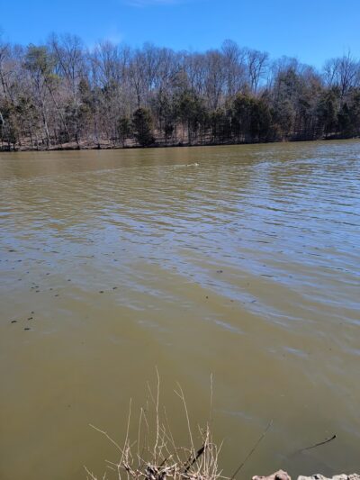 McNeely Lake Park South, West Entrance - Louisville, KY