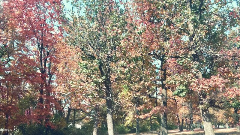 Okolona Park - Louisville, KY