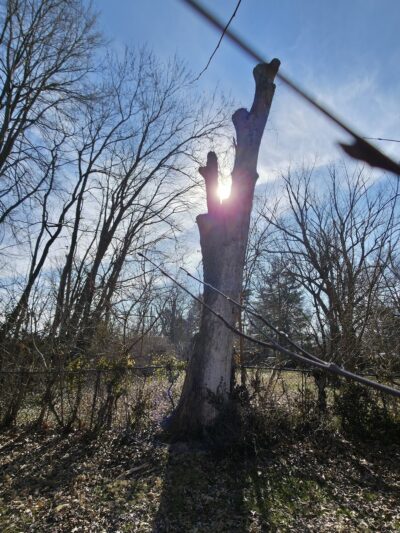 Pee Wee Park - Louisville, KY