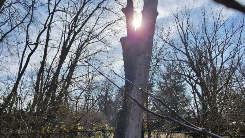 Pee Wee Park - Louisville, KY