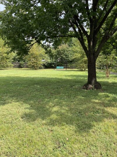 Pee Wee Park - Louisville, KY