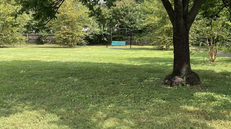 Pee Wee Park - Louisville, KY