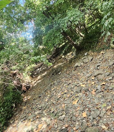 Roberson Run Park - Louisville, KY