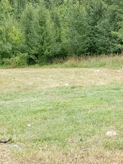 Sylvania Park - Louisville, KY