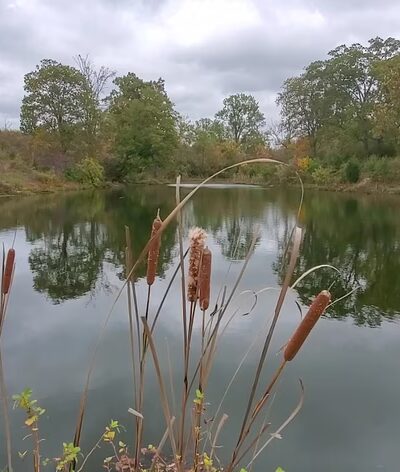 The Parklands of Floyds Fork - Louisville, KY