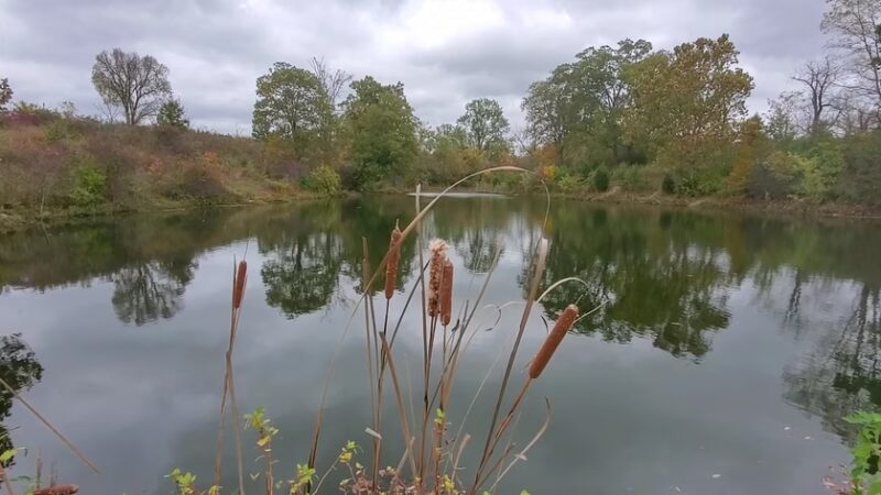The Parklands of Floyds Fork - Louisville, KY