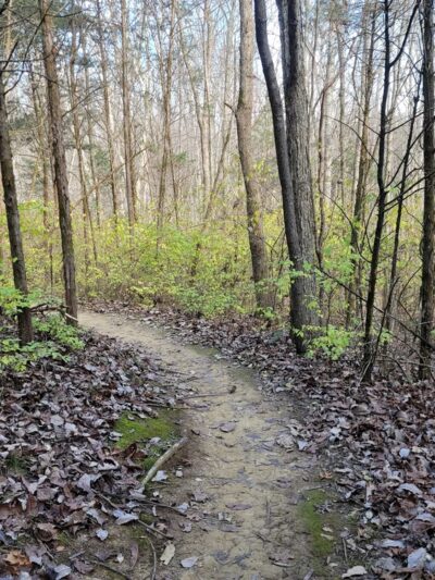 The Parklands of Floyds Fork - Louisville, KY