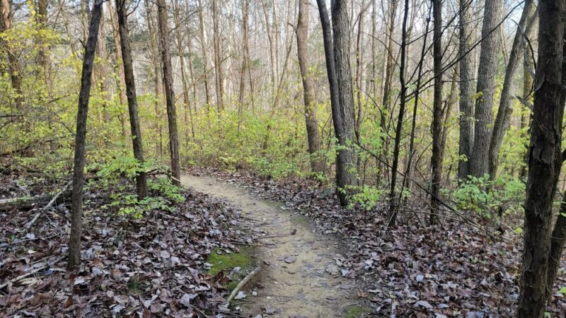 The Parklands of Floyds Fork - Louisville, KY