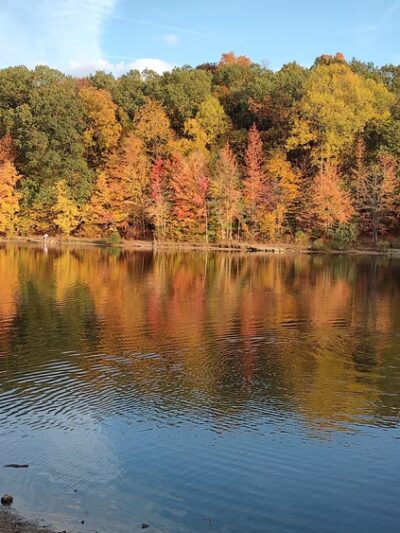 Waverly Park - Louisville, KY
