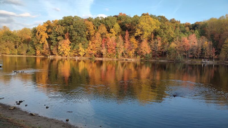 Waverly Park - Louisville, KY