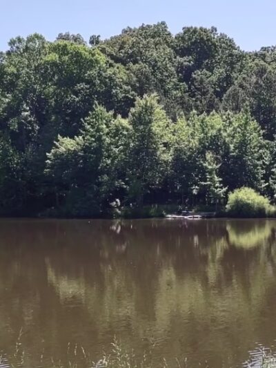 Waverly Park - Louisville, KY