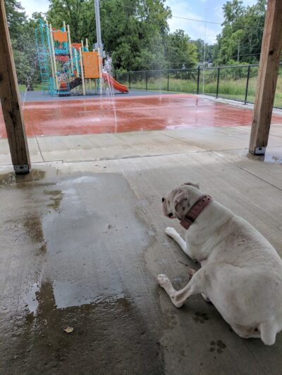 Louisville City Park - Louisville, NE