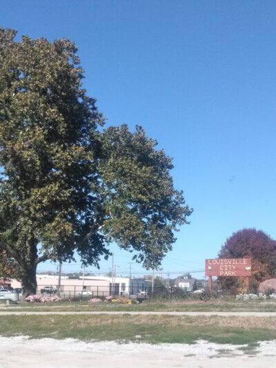 Louisville City Park - Louisville, NE