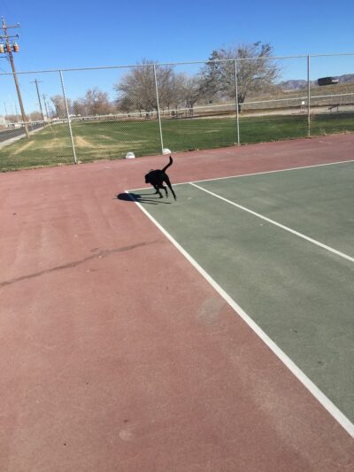 Lovelock City Park - Lovelock, NV